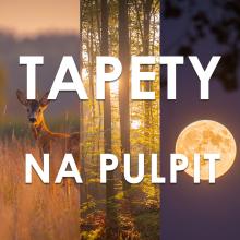 Październikowe tapety na pulpit!