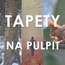 Grudniowe tapety na pulpit!