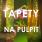 Tapety na pulpit!